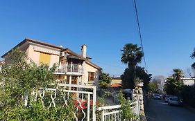 Garni Stanger
